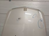 Engine bonnet/hood