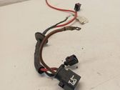 Other wiring loom