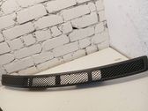 Grille calandre de capot
