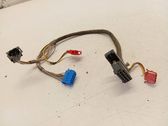 Other wiring loom