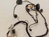 Front door wiring loom