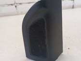 Panel speaker