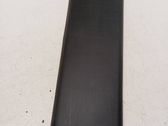 Rear fender molding trim