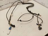 Rear door wiring loom