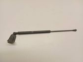 Front bonnet/hood damper/strut