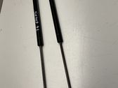 Tailgate/trunk strut/damper
