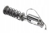 Rear shock absorber/damper