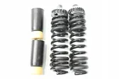 Rear coil spring