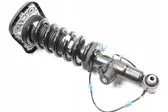 Rear shock absorber/damper