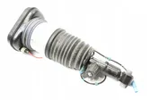 Rear shock absorber/damper