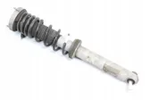 Rear shock absorber/damper