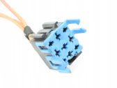 Other wiring loom