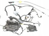 Rear door wiring loom