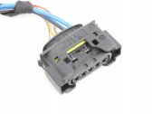 Other wiring loom