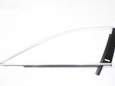 Front door trim (molding)