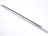 Rear door glass trim molding