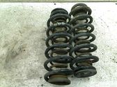 Rear coil spring