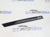 Rear door glass trim molding