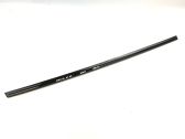 Rear door trim (molding)