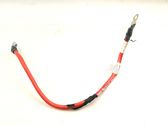 Other wiring loom