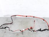 Positive cable (battery)