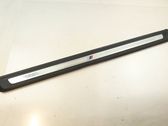 Front sill trim cover