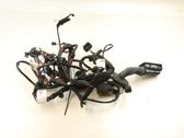 Front door wiring loom