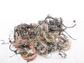 Other wiring loom