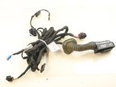 Front door wiring loom
