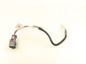 Positive cable (battery)