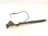 Tailgate/trunk strut/damper