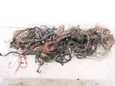 Other wiring loom
