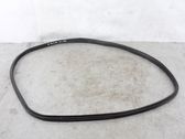 Rear door rubber seal (on body)