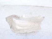 Exhaust heat shield