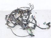 Other wiring loom