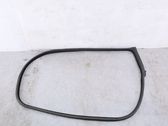 Front door rubber seal