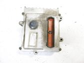 Engine control unit/module ECU
