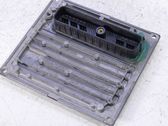Engine control unit/module ECU