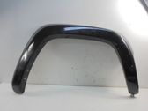 Fender trim (molding)