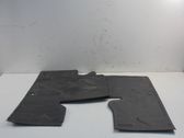 Alfombra delantera