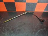 Oil level sensor