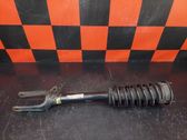 Front shock absorber/damper