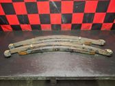 Feder hinten
