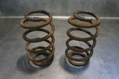 Rear coil spring