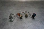 Rear tail light wiring loom