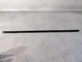 Front door trim (molding)