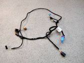 Front door wiring loom