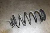 Rear coil spring