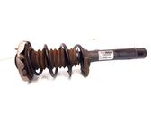 Front shock absorber/damper