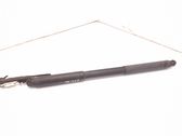 Tailgate/trunk strut/damper